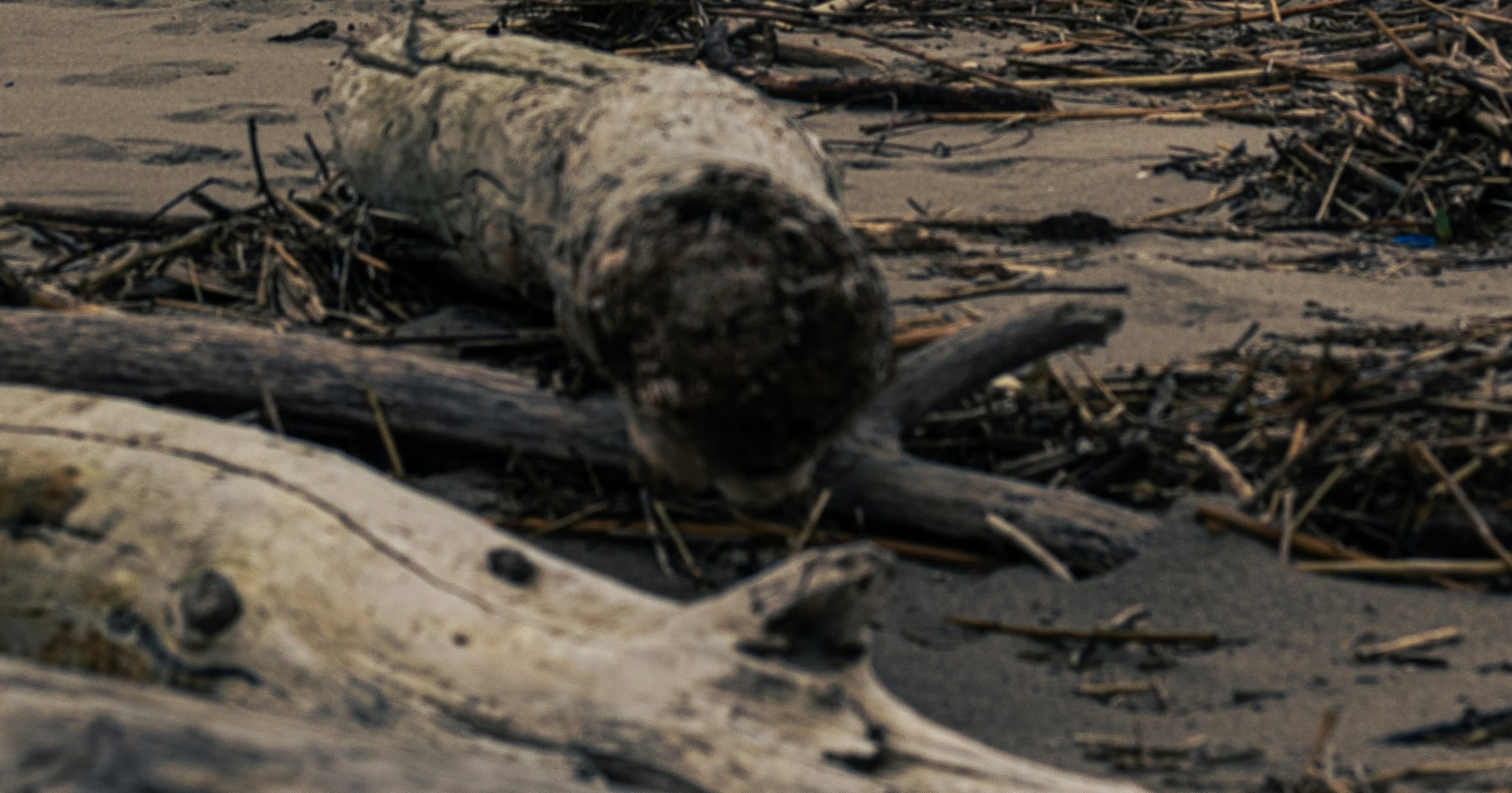 How Do Texas Wrongful Death Lawsuits Work?