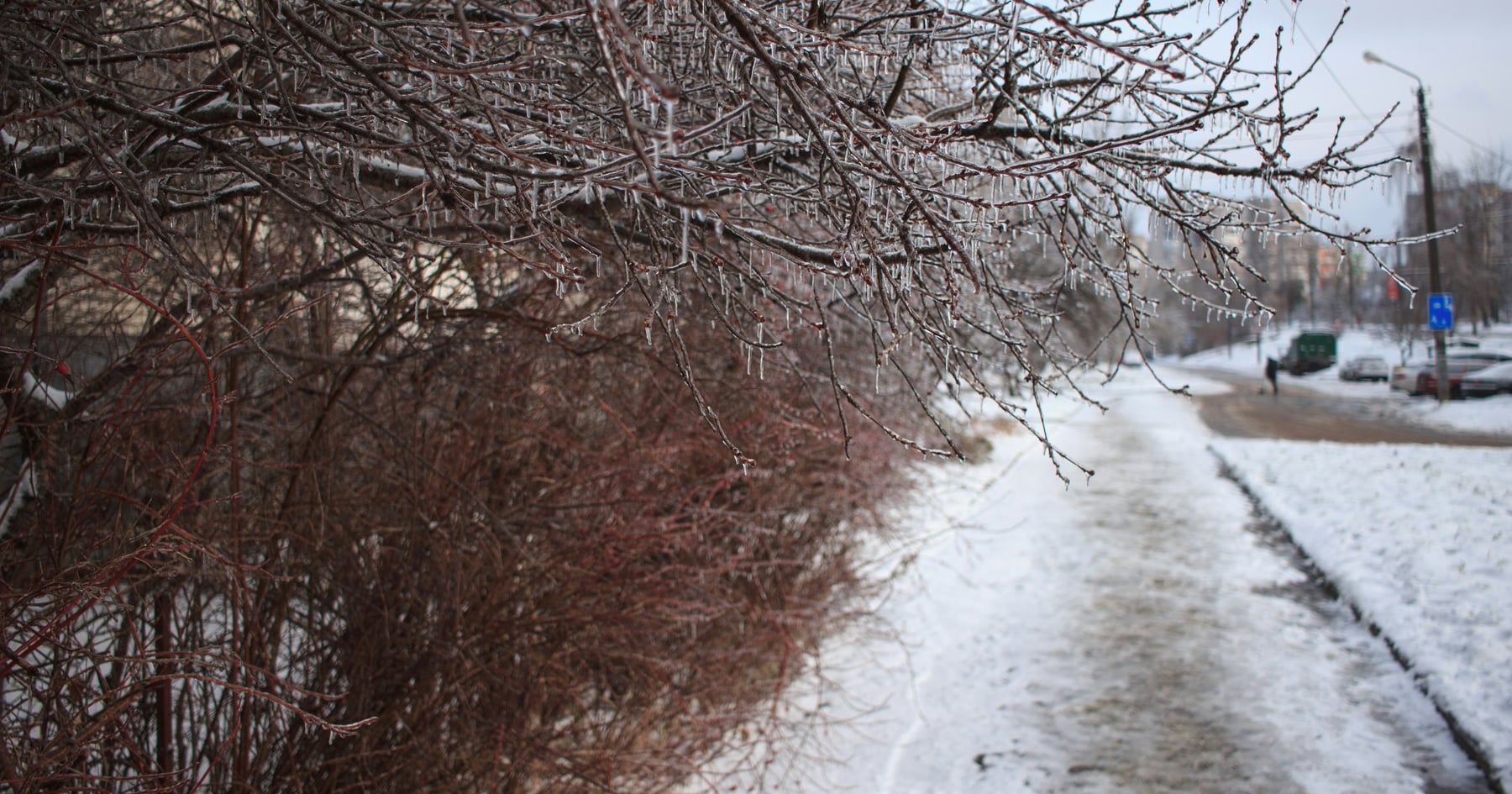 How Much Is a Slip and Fall Accident Worth?