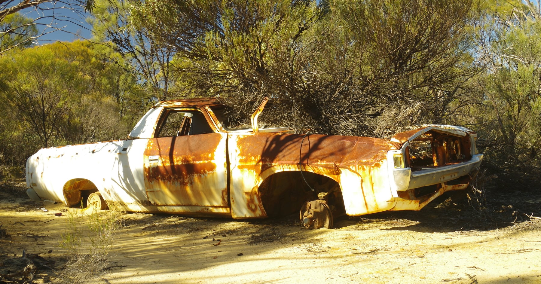 How Often Does Someone Die In A Texas Car Accident?