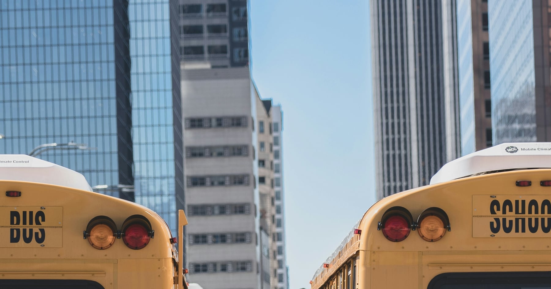Texas School Bus Laws  Bus Stop Safety